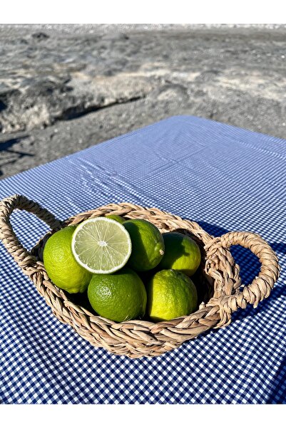 ALANYADAN TROPİKAL 1 Kg Lime Limon Taze Hasat Dalından