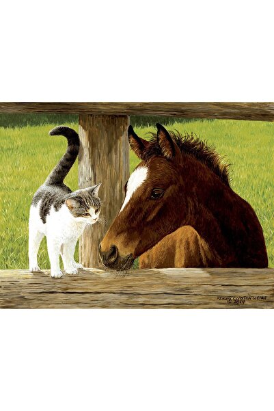 SunsOut Puzzle - Whiskery Hello, 500 pieces (Sunsout-51528)