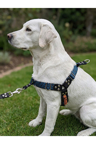 balkonda طوق صدر للكلاب مناسب للسلالات الكبيرة والكبيرة جدًا، قابل للتعديل من...