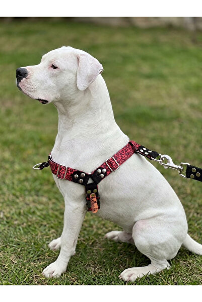 balkonda طوق صدر للكلاب مناسب للسلالات الكبيرة والكبيرة جدًا، قابل للتعديل من...