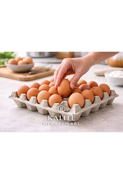 Kalite Meraklıları Kalite Meraklıları(11 Adet) 30'lu Yumurta Viyolü|Karton Yu...