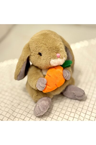 OEM Pluș de pluș „Morcovel” cu morcov – Gri, 22 cm