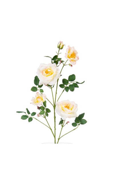 Midas Furniture Artificial flowers, white rose, 95 cm