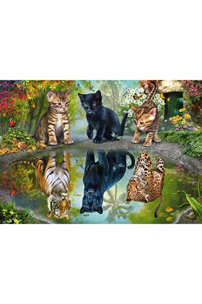 Schmidt Παζλ 1000 κομμάτια - Μεγάλεψε το όνειρό σου! Σμίντ-57392