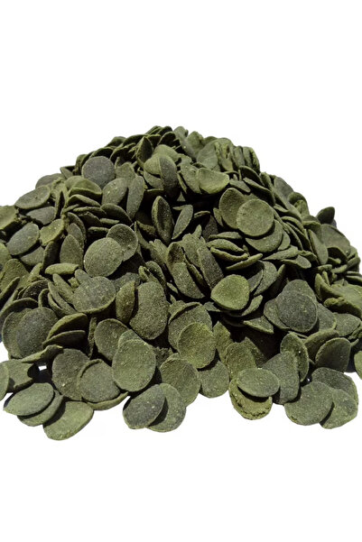 ReeFlowers Pleco & Catfish Wafers Vatoz ve Çöpçü Balığı Yemi 100 Gr
