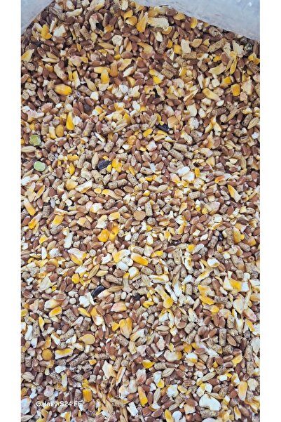 ALPAYSAN PAZARLAMA ALPAYSAN KANATLI KARIŞIM YEM 25 KG