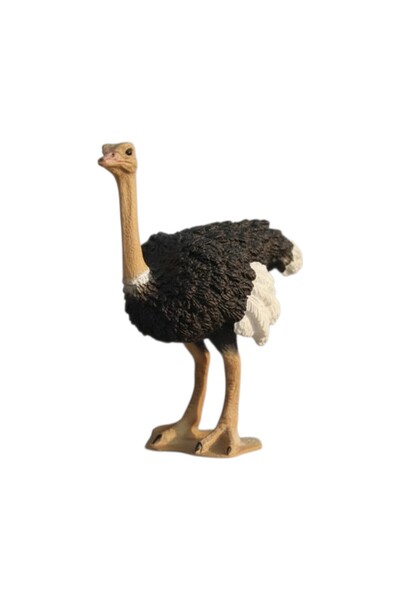 TUFY TOYS DEVEKUŞU FİGÜRÜ-DOĞA TEMALI MODEL HAYVAN OYUNCAK