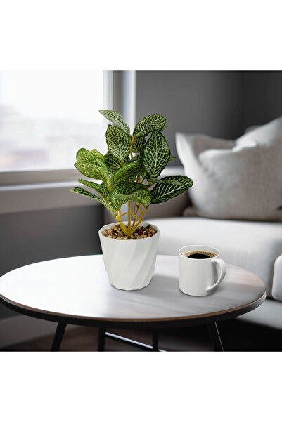 OEM Decor din plastic - Fittonia - 20 x 9 cm