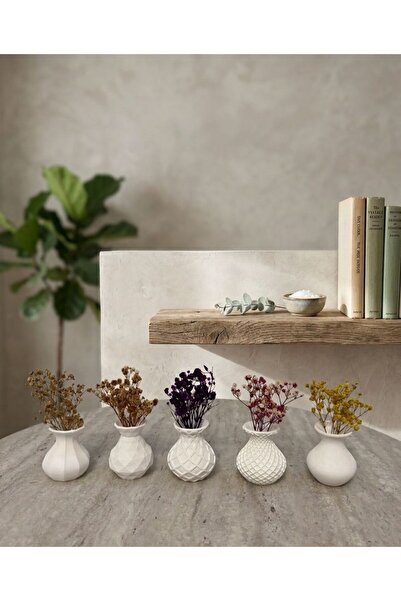 FEİN TASARIM Dekoratif Modern 5'li Mini Vazo Set (Çiçekler Dahildir)