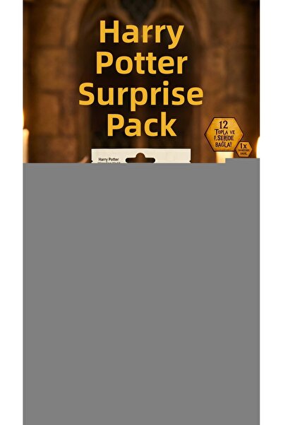 Eco Lounge صندوق تجميع شخصيات هاري بوتر المفاجئة