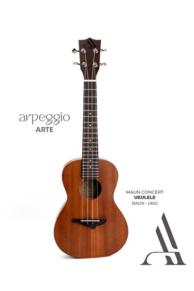 arpeggio ARTE Uk02 Mahogany Veneer Concert Ukulele – for Beginners and Hobbyi...