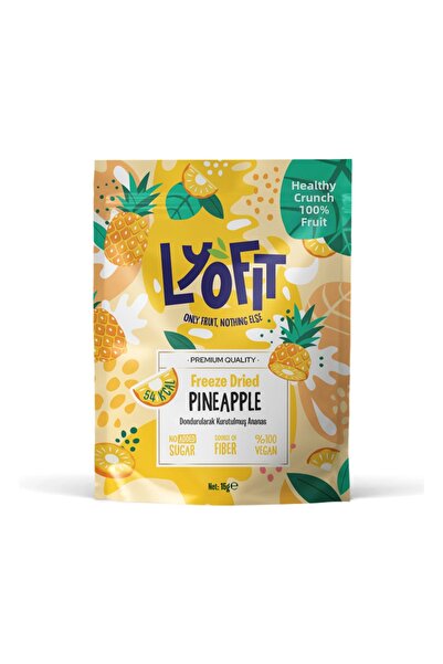 Lyofit Food أناناس مجفف بالتجميد 15 جرام 1 قطعة