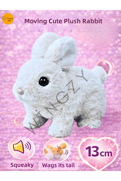 Wingzy Plush Toy Dog, Sound and Motion Gift 13 cm Dog, Gift for Children