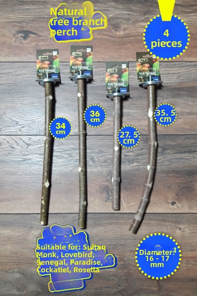 Vixpet مجموعة فينتي المكونة من 4 قطع من عناوين الببغاء الطبيعية |   سلطان، مو...