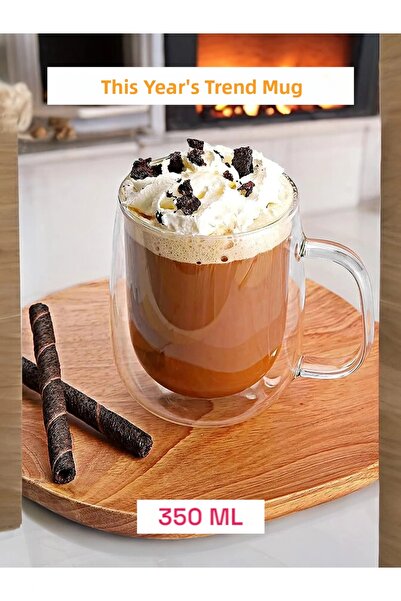 Ercazzo 350 Ml Heat Resistant Double Sided Glass Cup with Borosilicate Handle