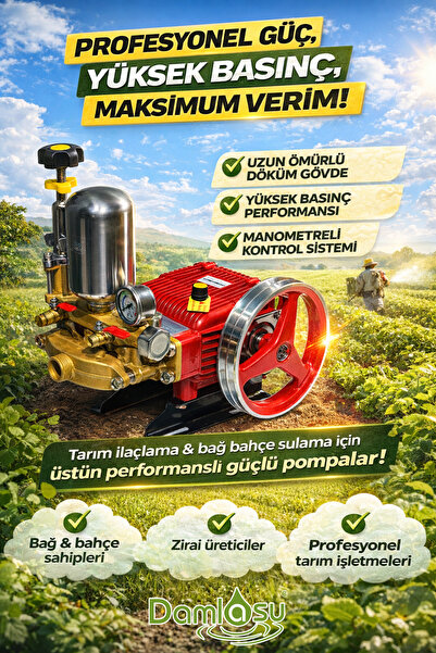 DAMLASU 22mm Pistonlu İlaçlama Pompası Yüksek Basınçlı Motorlu Tarım Pompası