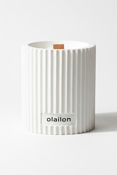 Stylish Design Decorative Woody Scented Concrete Candle with Wood Roving