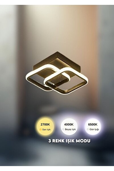 RONİSU AYDINLATMA Purella Ledli Plafonyer Avize - Oturma Odası, Salon Mutfak ...