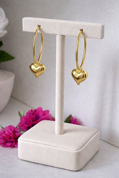 IAMIRA Round Heart Earrings
