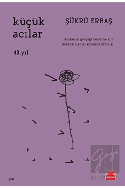 Kırmızı Kedi Yayınları Küçük Acılar Şükrü Erbaş