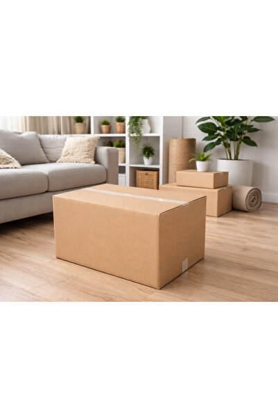 Alina Dizayn EŞYA TAŞIMA KOLİSİ,ÇİFT OLUKLU KARTON,TAŞINMA KOLİSİ,BOŞ KOLİ,ÇE...