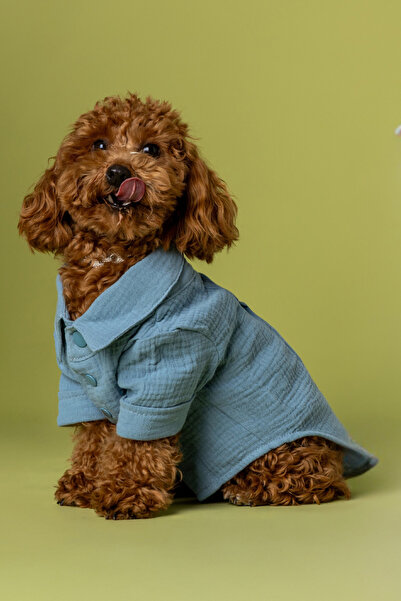 furlabel Müslim Köpek & Kedi Gömlek %100 Pamuk – Küçük & Orta Irk Evcil Hayva...