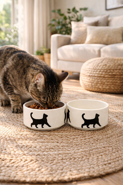 NitruDesign 2 Adet Yüksek Kalite (12.5 CM, 400 ML) Seramik Kedi Ve Köpek Mama...