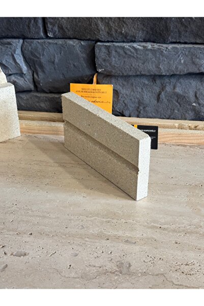 Polen Stone Ateş, Barbekü, Şömine, Fırın Tuğlası 10x20x2 (1 Adet)