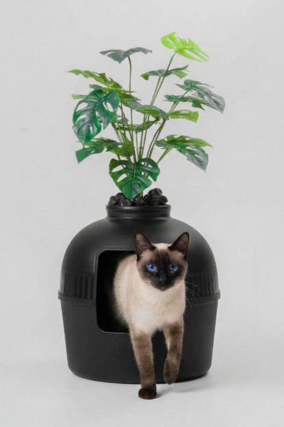 Dekorapet Dekoratif Kedi Tuvaleti/Evi