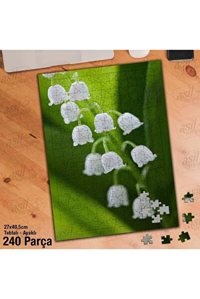 Asilmeydan Asil Hobi Müge Çiçeği - Mayıs Çiçeği - Doğa -Bitki Yapboz - Ayak D...