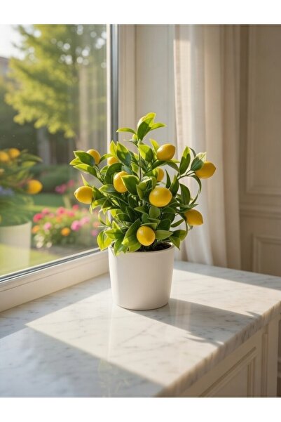adresiburasi Adresiburası B58b-شجرة ليمون في أصيص خرساني 30 سم (15 قطعة ليمون...