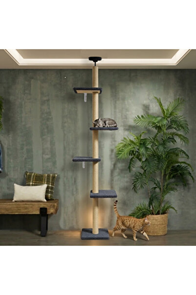 Turkuaz Tırmalama XL TR2001 Kule Tavan Boyu Kedi Tırmalama Tahtası