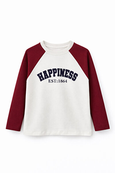 BALKABAĞI Happiness Çift Renkli Erkek Çocuk %100 pamuk Reglan Kol Sweat (2-9 ...