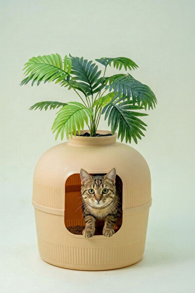Dekorapet Dekoratif Kedi Tuvaleti/Evi