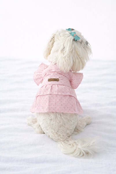 PATİLİNKA Puantiyeli Kedi Köpek Poplin Elbise