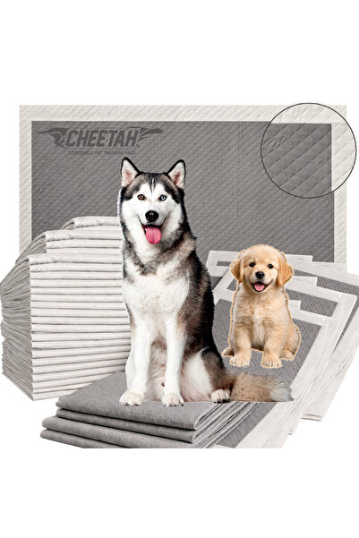 cheetah فوط تدريب للكلاب للاستخدام مرة واحدة، 6 طبقات، بالفحم النشط، لون رماد...