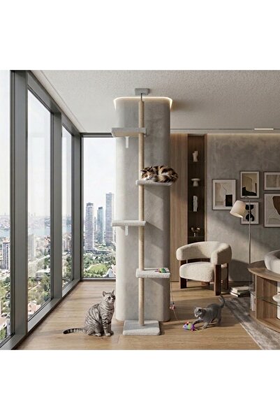 Turkuaz Tırmalama Tr2001 Turkuaz Tırmalama Tavan Boyu Kule Kedi Evi Tırmalama