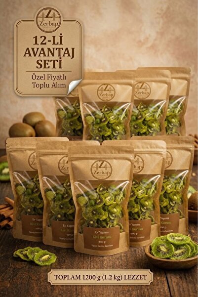 ZERBAP Natural Dried Kiwi 12-Pack Advantage Package (12 X 100g)
