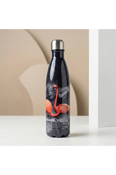 OGS زجاجة من الفولاذ المقاوم للصدأ-تحافظ على البرودة لمدة 24 ساعة والحرارة لم...