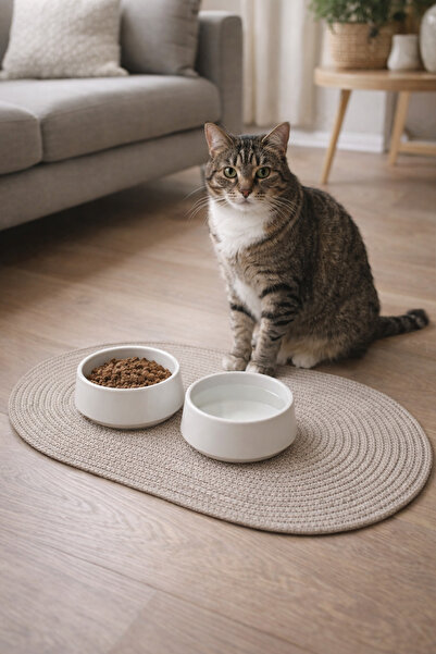 ÖRGÜM Kedi Köpek Beslenme Paspası Kedi Köpek Mama Altlığı 50x35 Cm