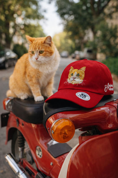 Trampoline Yellow Cat Nakışlı Şapka - Hayvan Figürlü Şapka