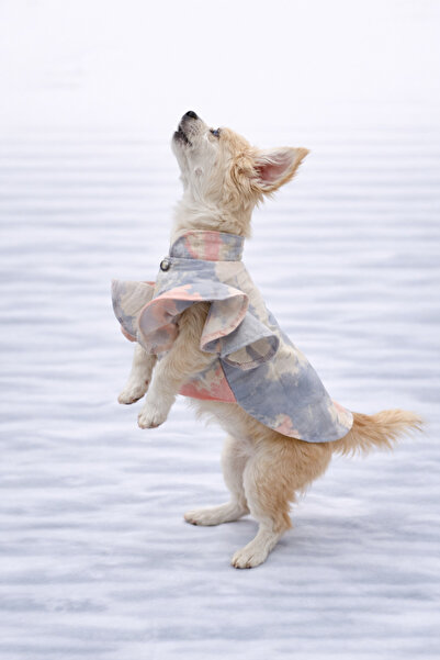 PATİLİNKA Cat - Dog Transitional Valonlu Shirt - Clothing - Dress