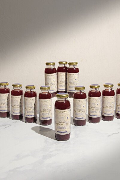 NATUVA 12'li Mor Meyveler Meyve Suyu 250 ml ( Kokulu Üzüm, Böğürtlen, Nar )