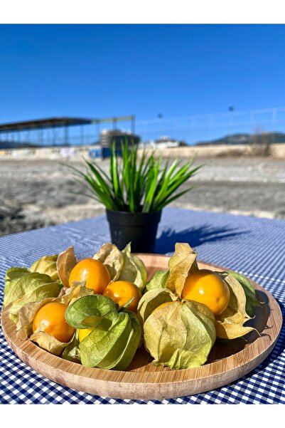 ALANYADAN TROPİKAL Altın Çilek 100 gr Yerli Üretim Taze Doğal