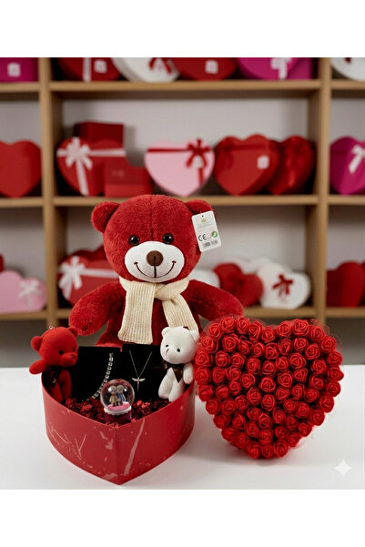 elovya Sevgiliye hediye arkadaşa hediye Kırmızı Ayıcık Tasarım Seti Doğum ve ...