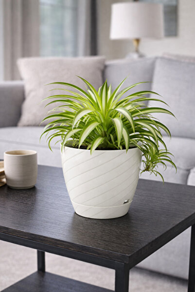 Binbirreyon Parlak Saksı 14x13cm Renkli Desenli Saksı 1 Adet AH167