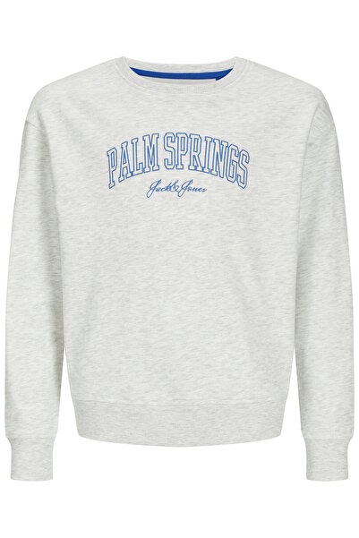 Jack & Jones Junior Pullover DETROIT Sweatshirt