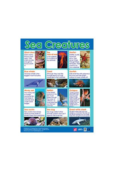 123Publishing House مخلوقات البحر - لوحة جدارية باللغة الإنجليزية