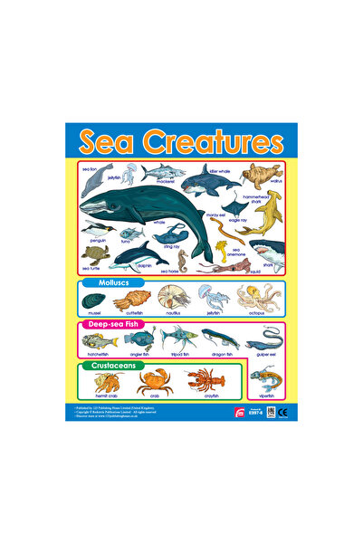 123Publishing House مخلوقات البحر - لوحة جدارية باللغة الإنجليزية