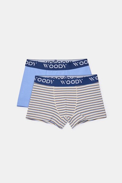 Woody Türkiye 2-8 Years Old 2-Piece Boys' Boxers